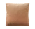 Spilveni