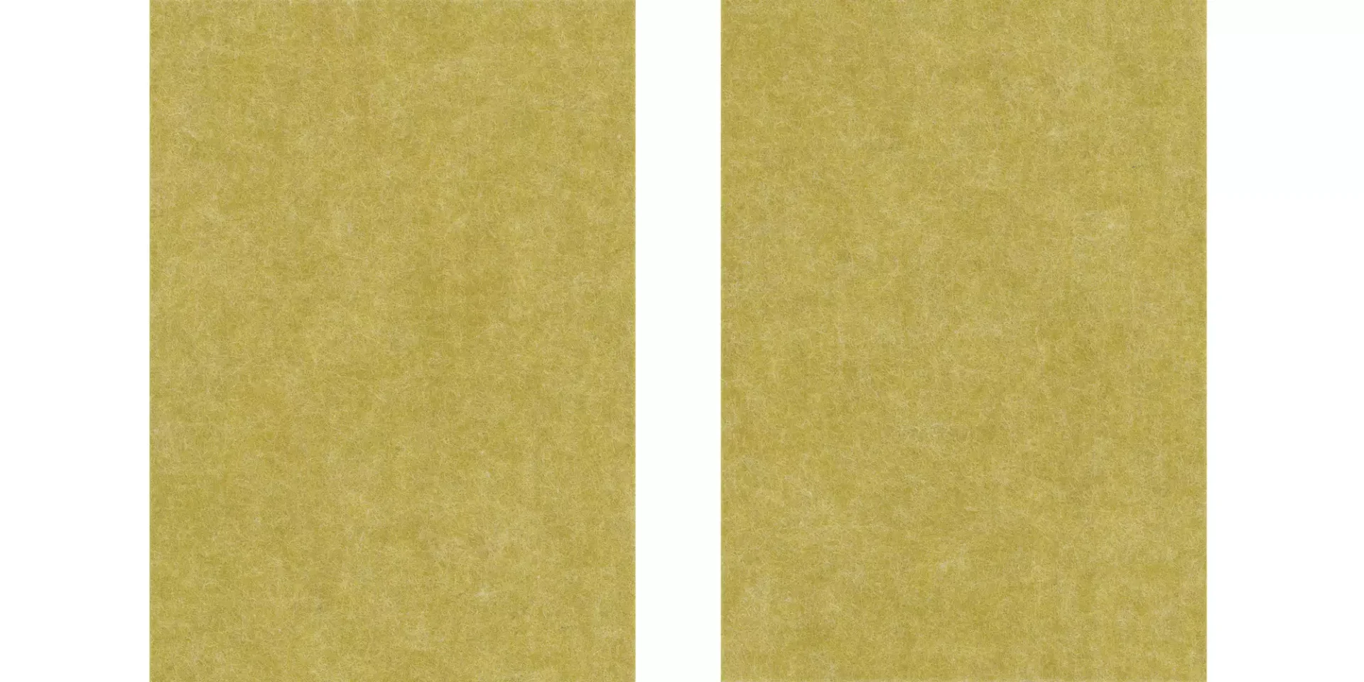 0009