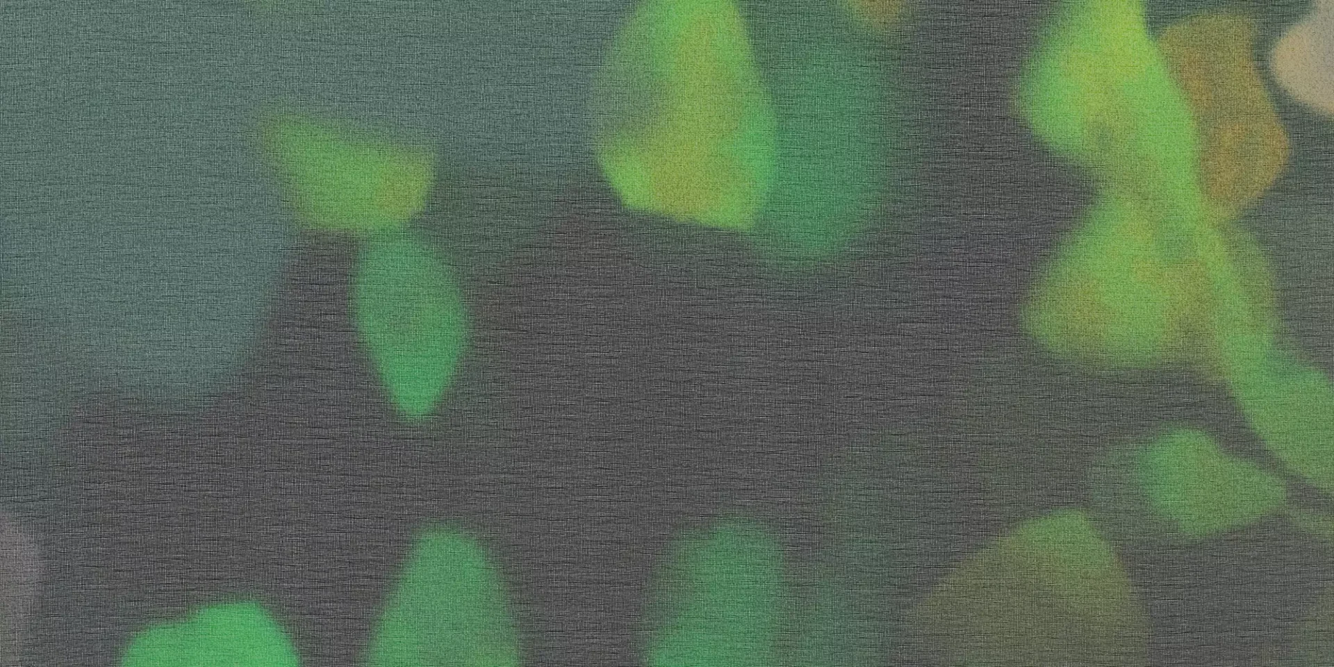 0003
