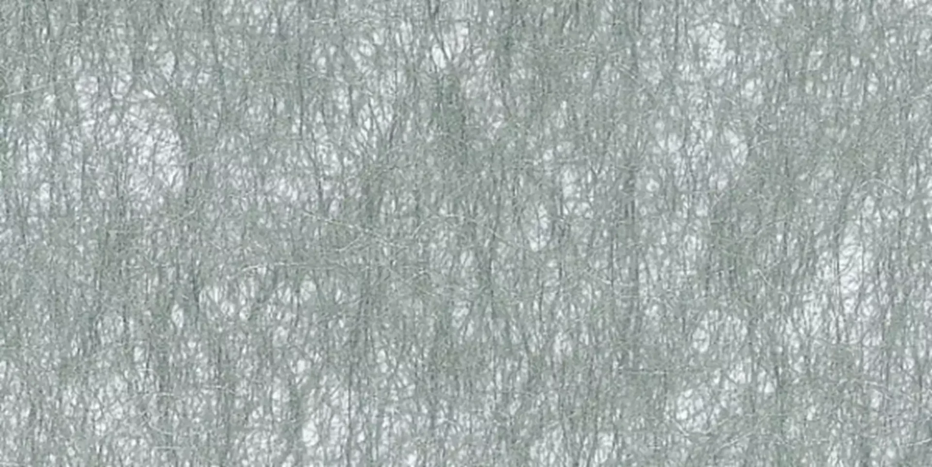 7007