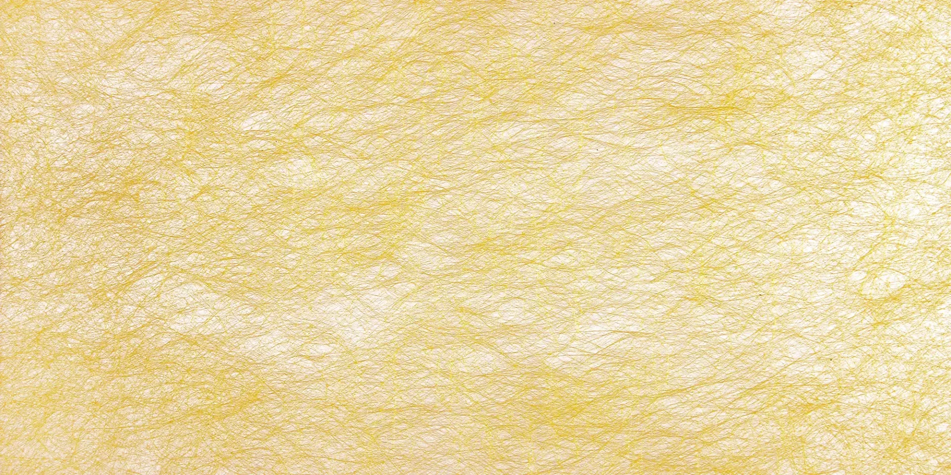 7036