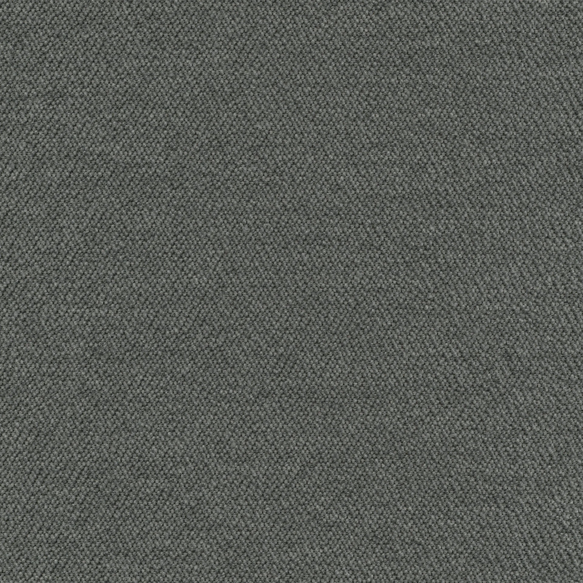 81