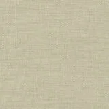 81