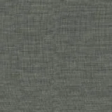 81