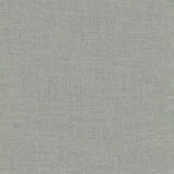 81