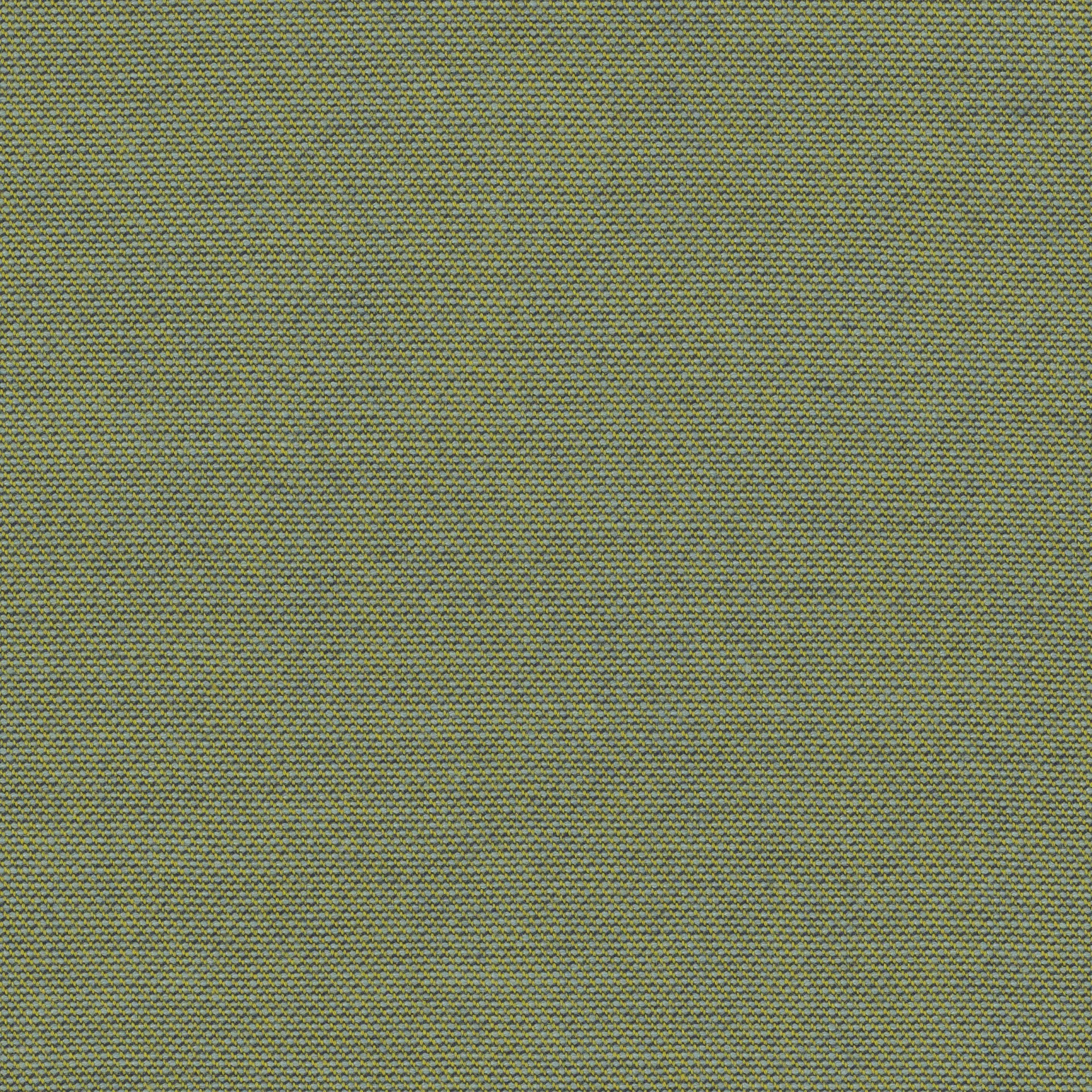 64