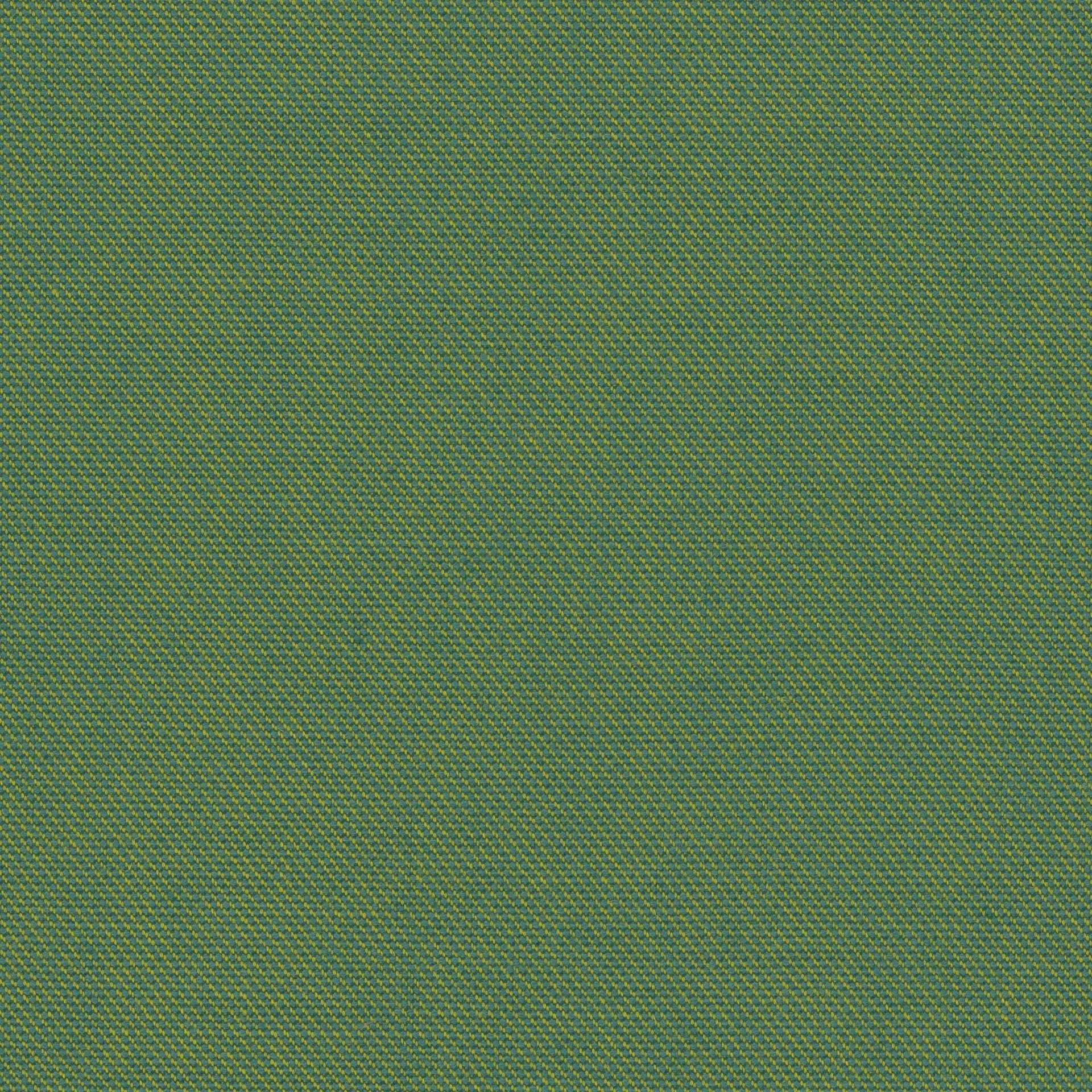 65