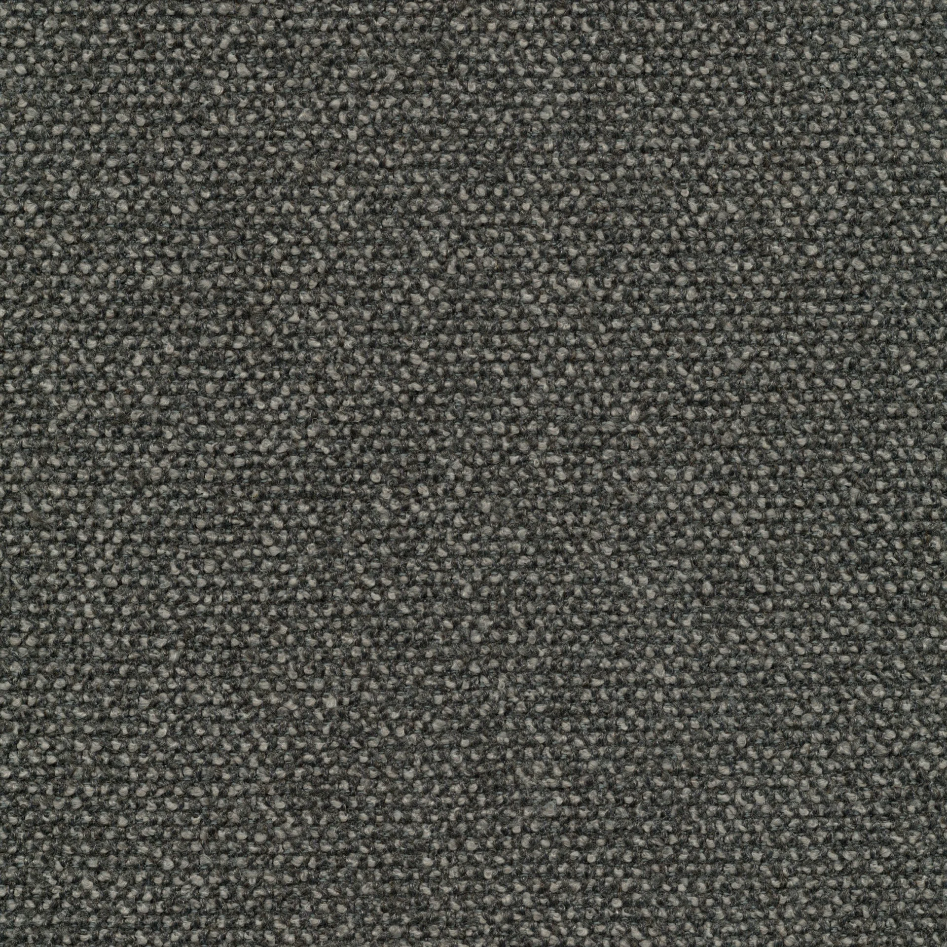 81