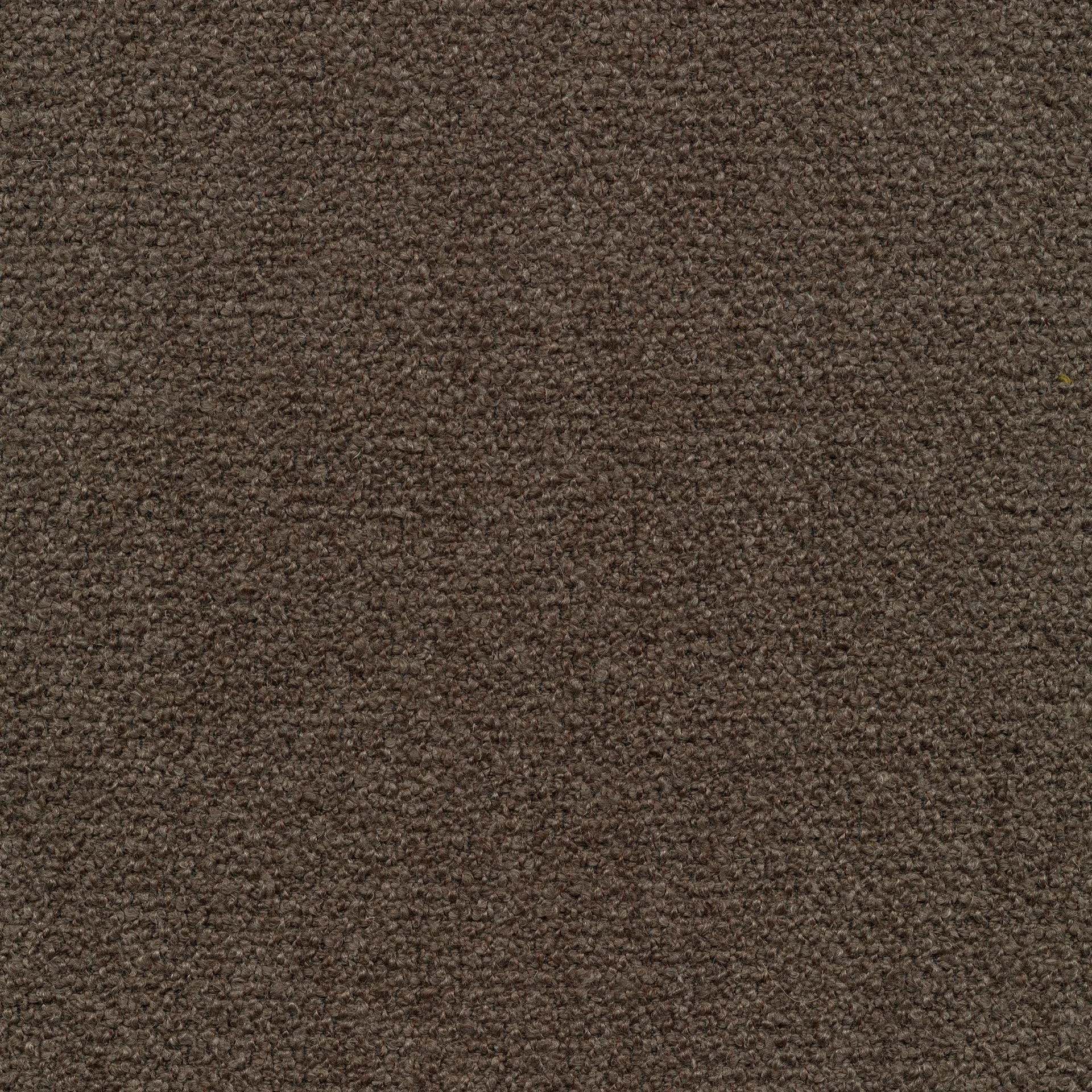 71
