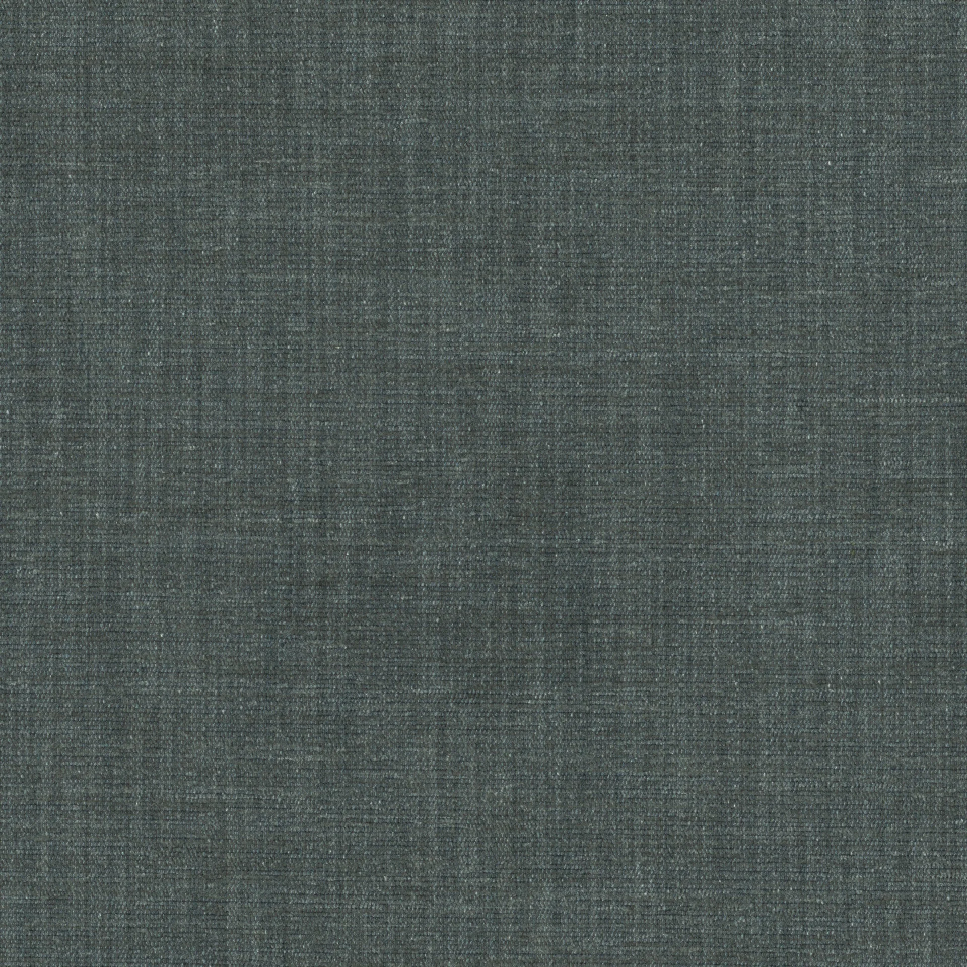 81