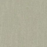 81