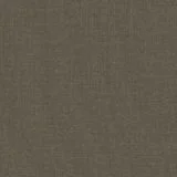 81