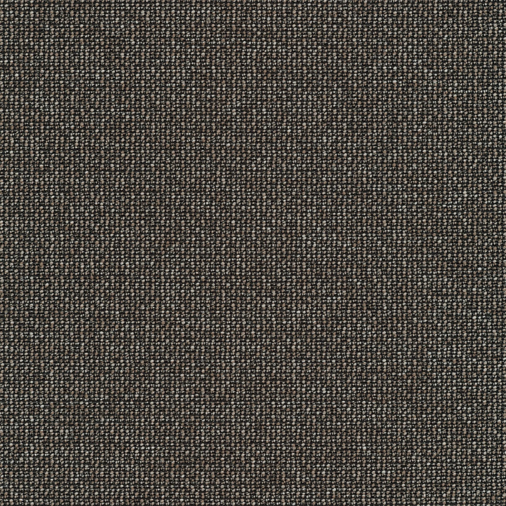 79