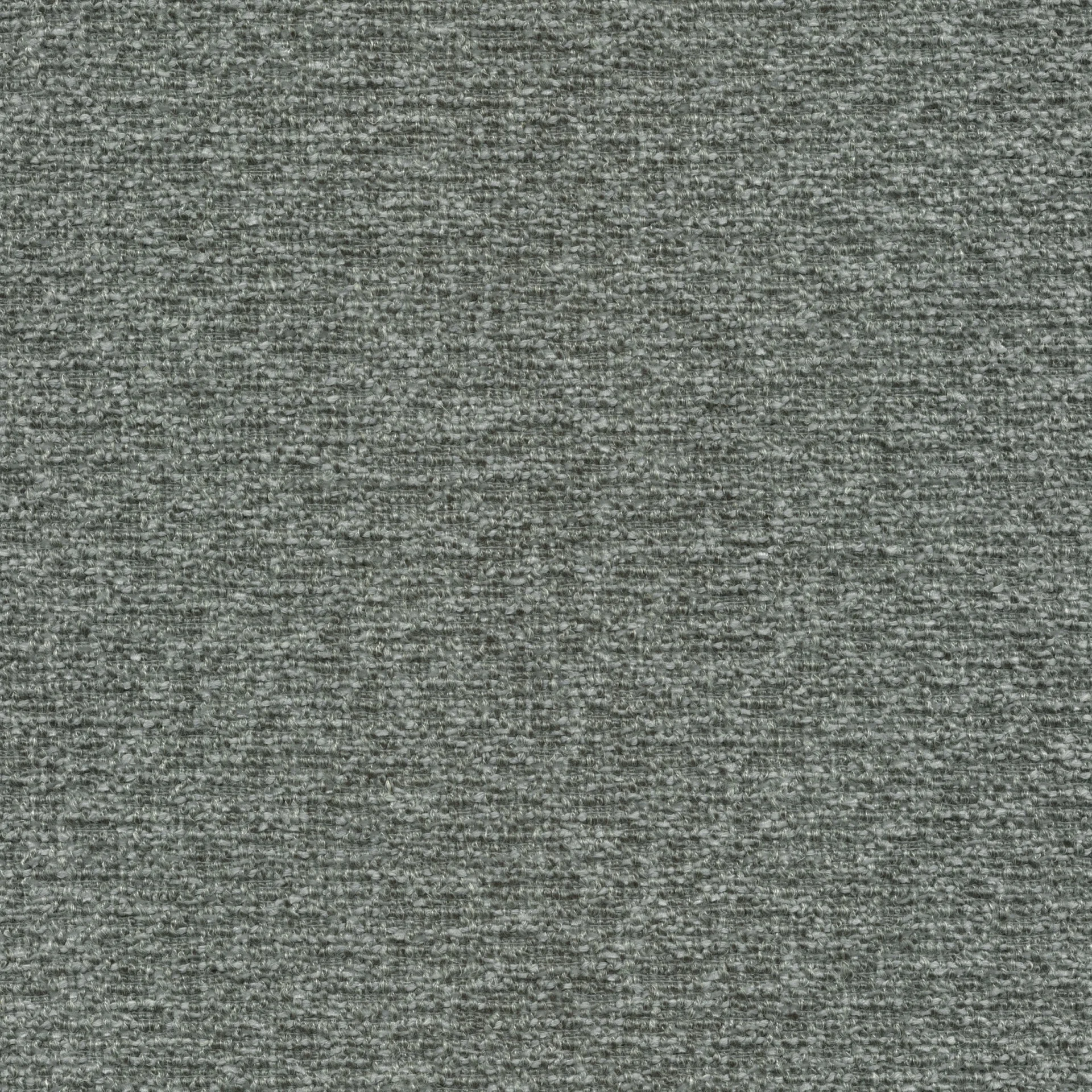 81