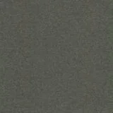 81