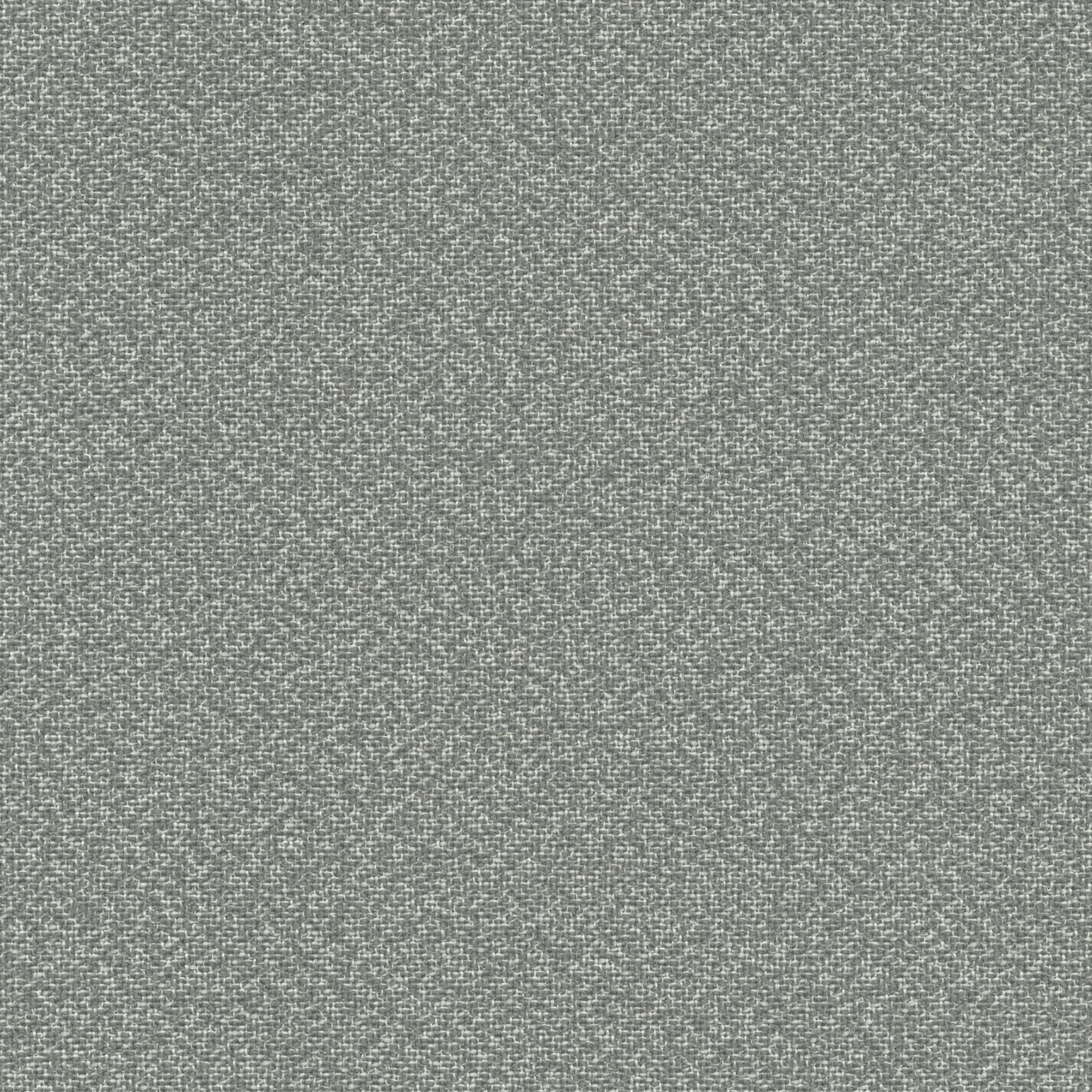 81