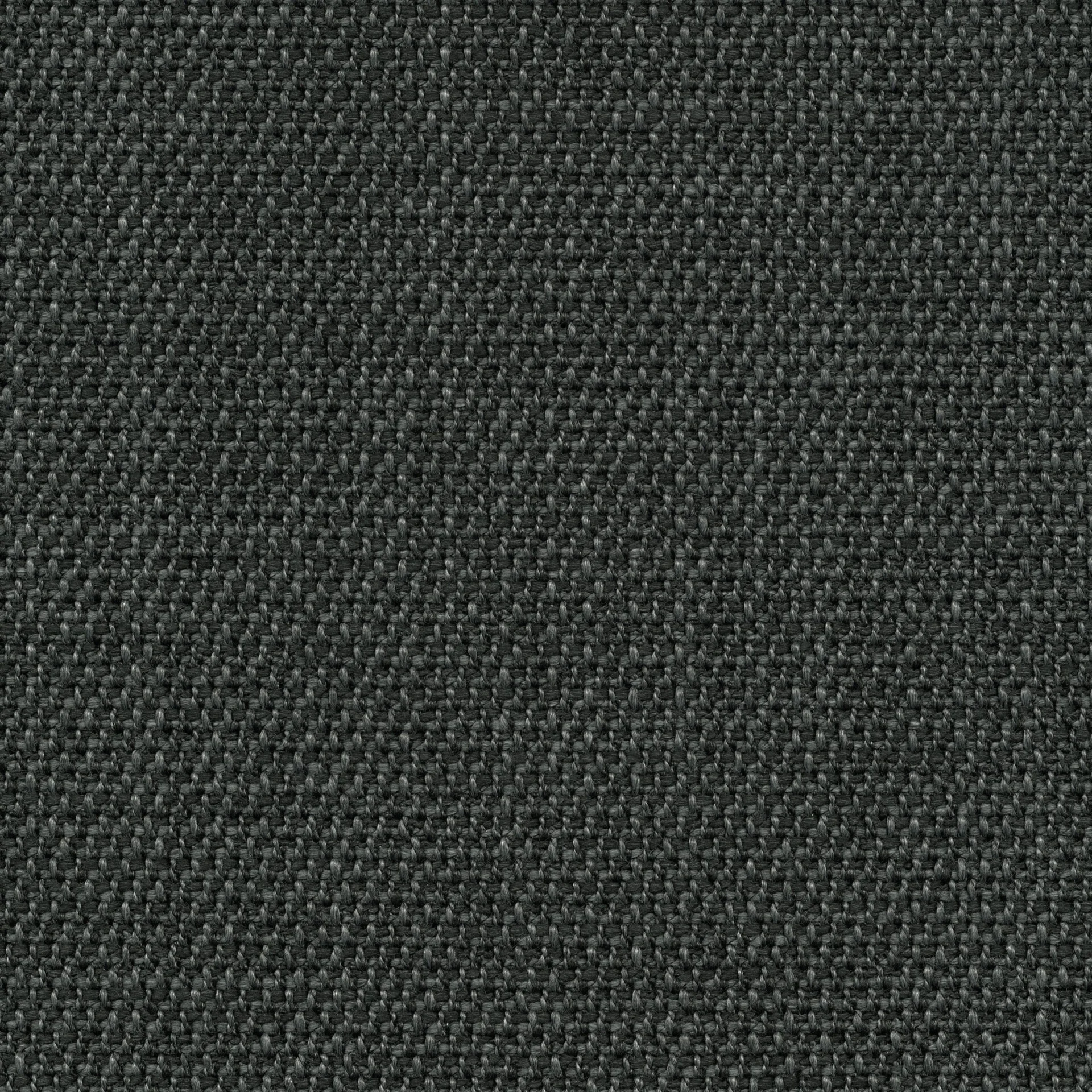 81
