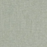 81