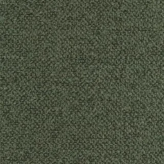 353 Taura Forest