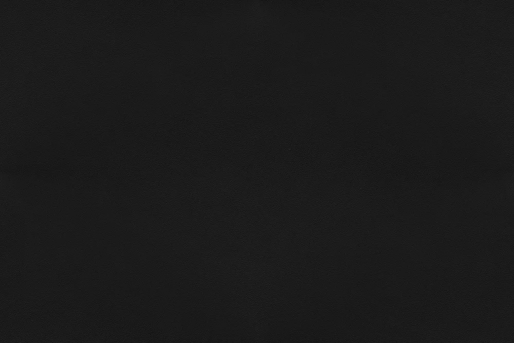 Melna 41599