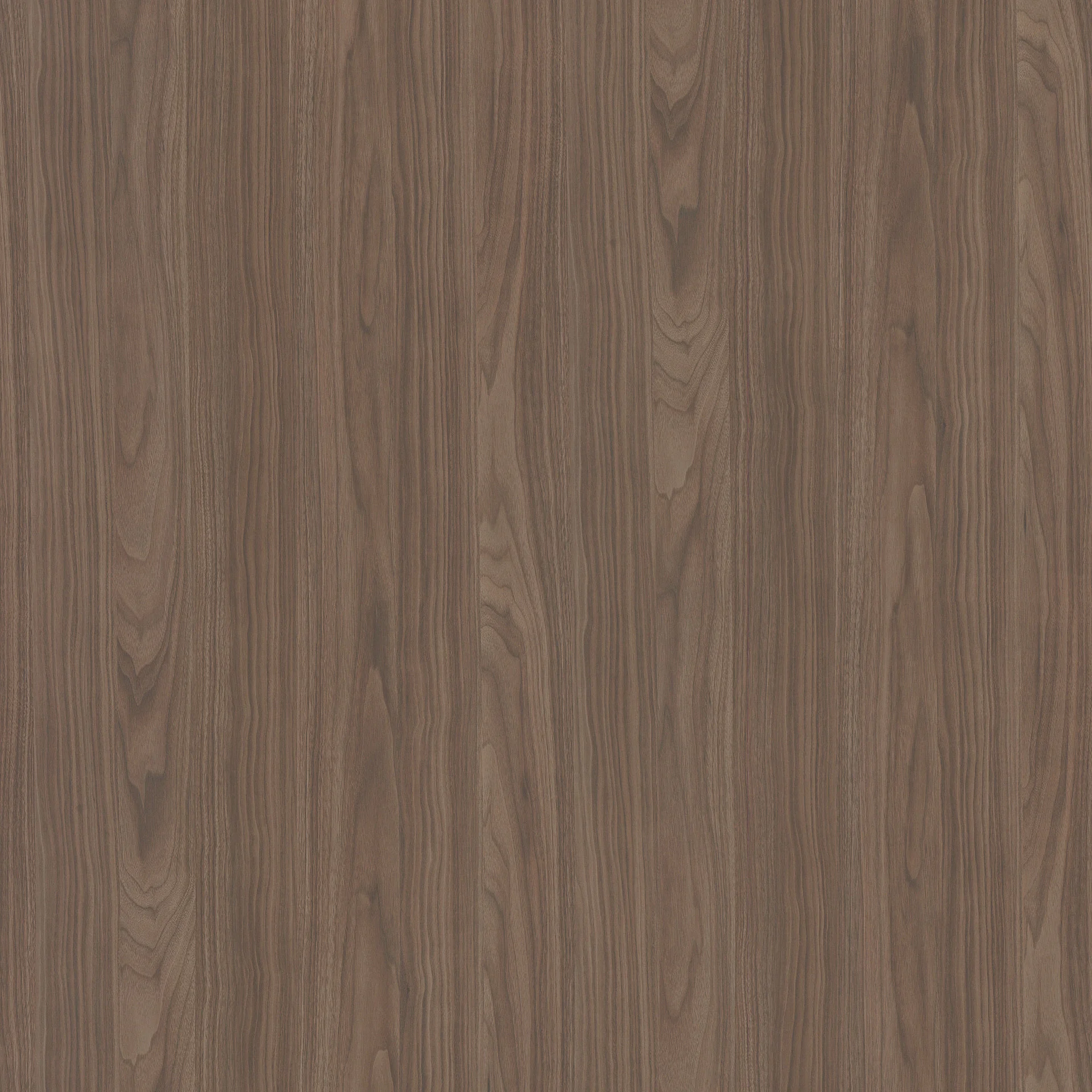 Italian Walnut