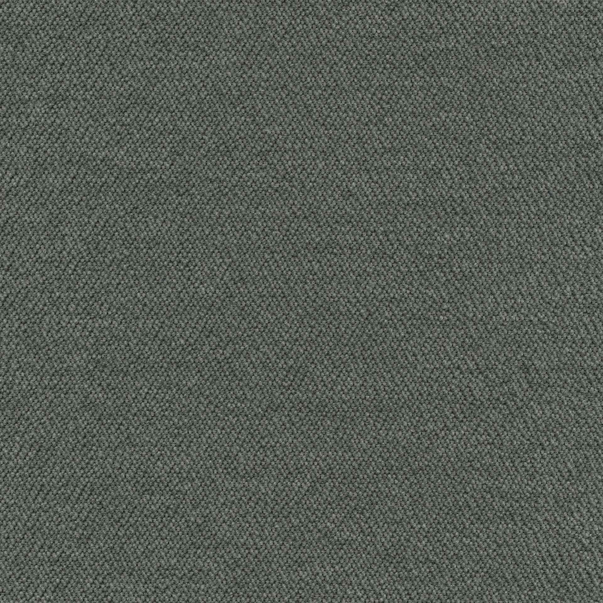 81