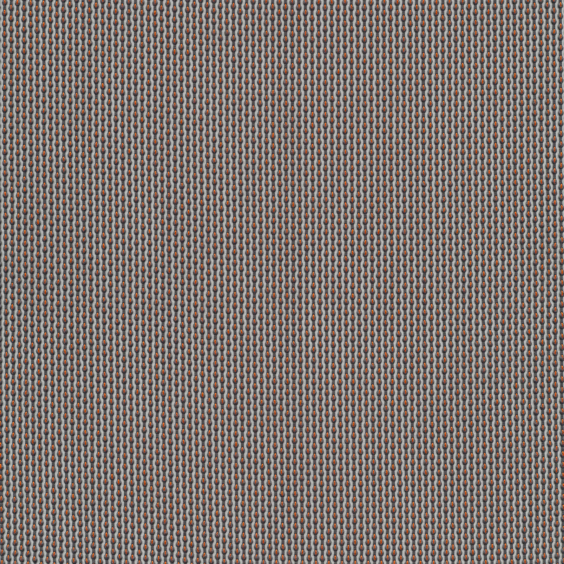 81