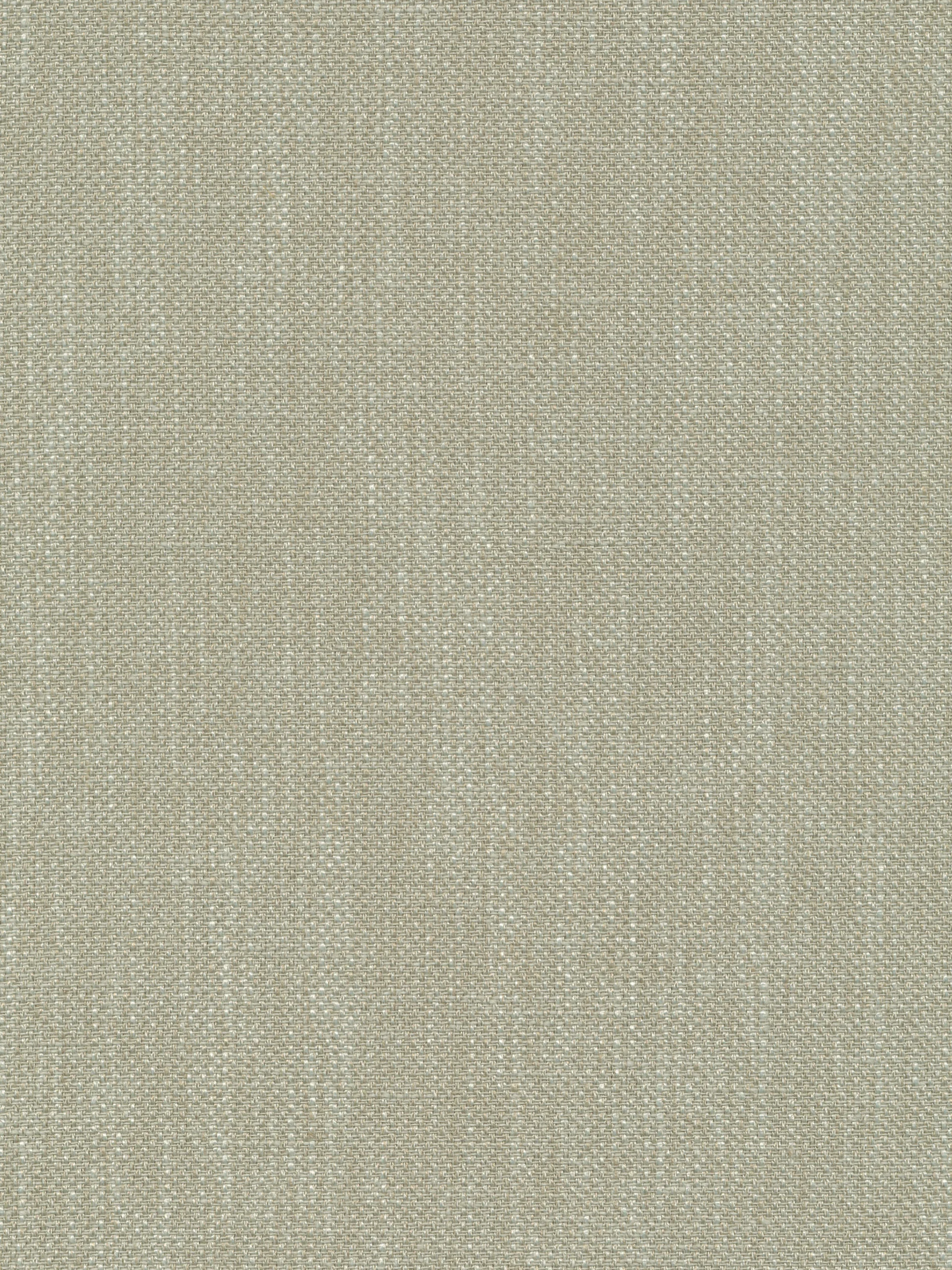 81
