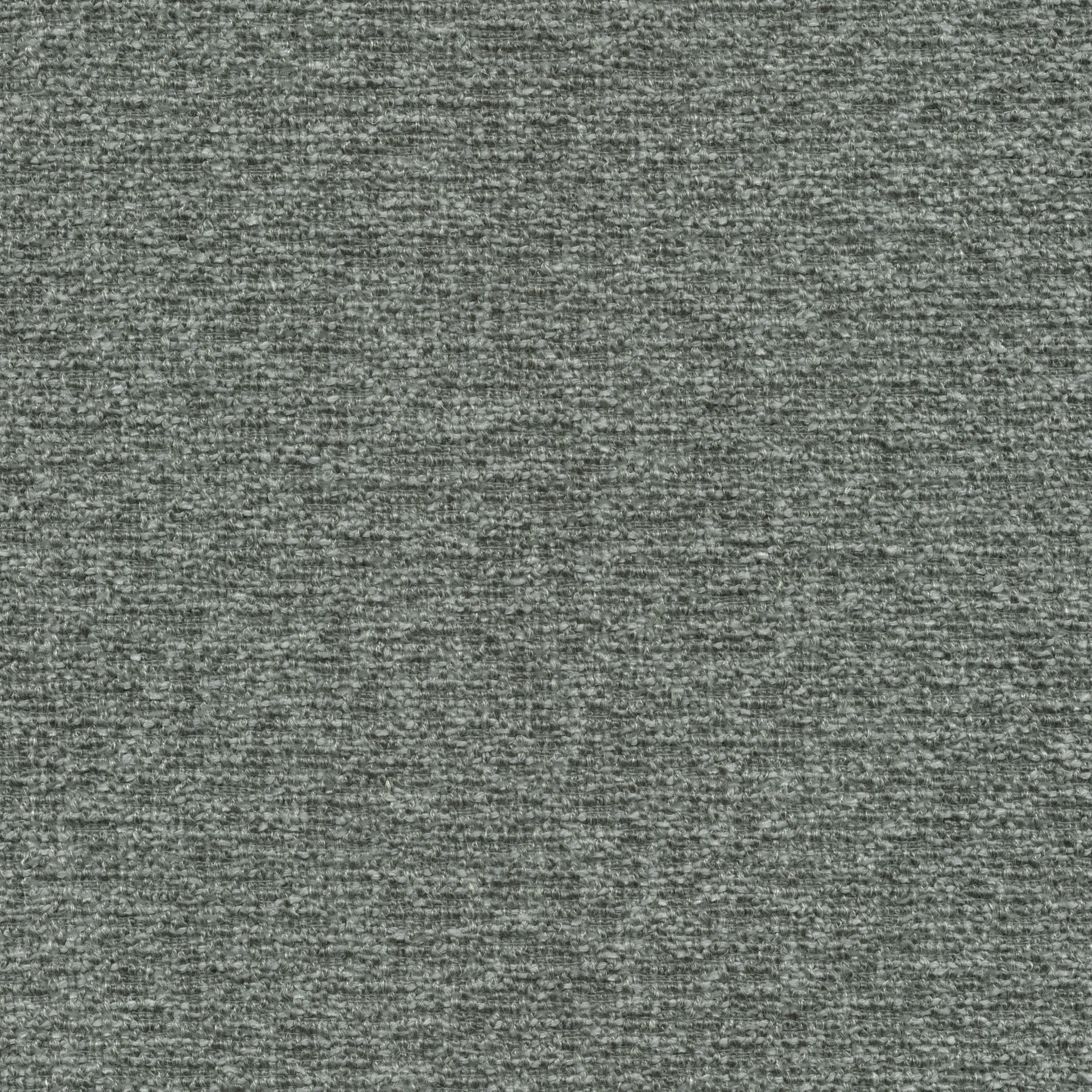81