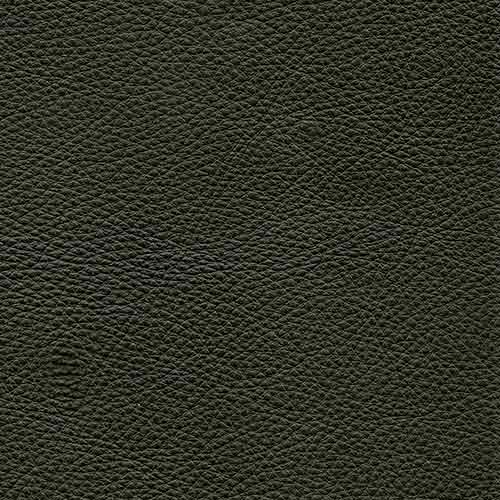 Dream Clover Green 20J2