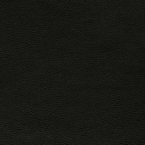 Dream Black 20JF