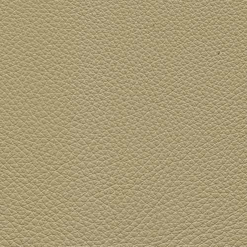 Dream Beige 20JJ