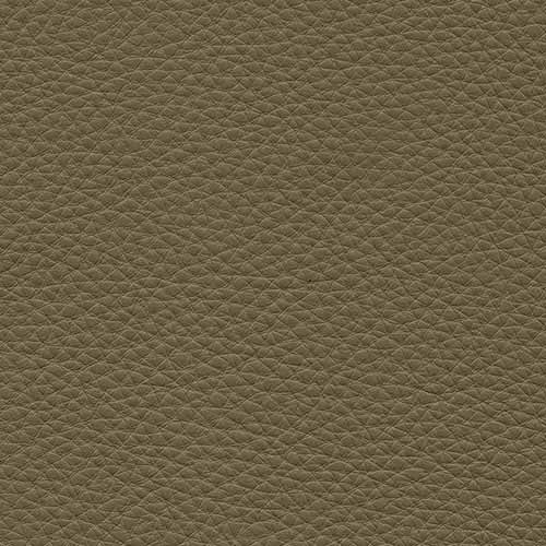 Dream Beige 20JL