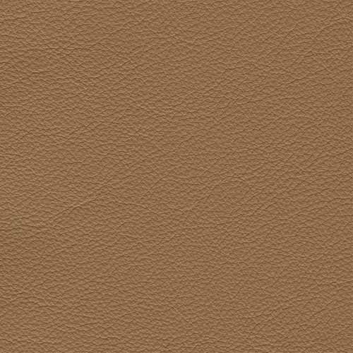 Leisure Camel 25VA