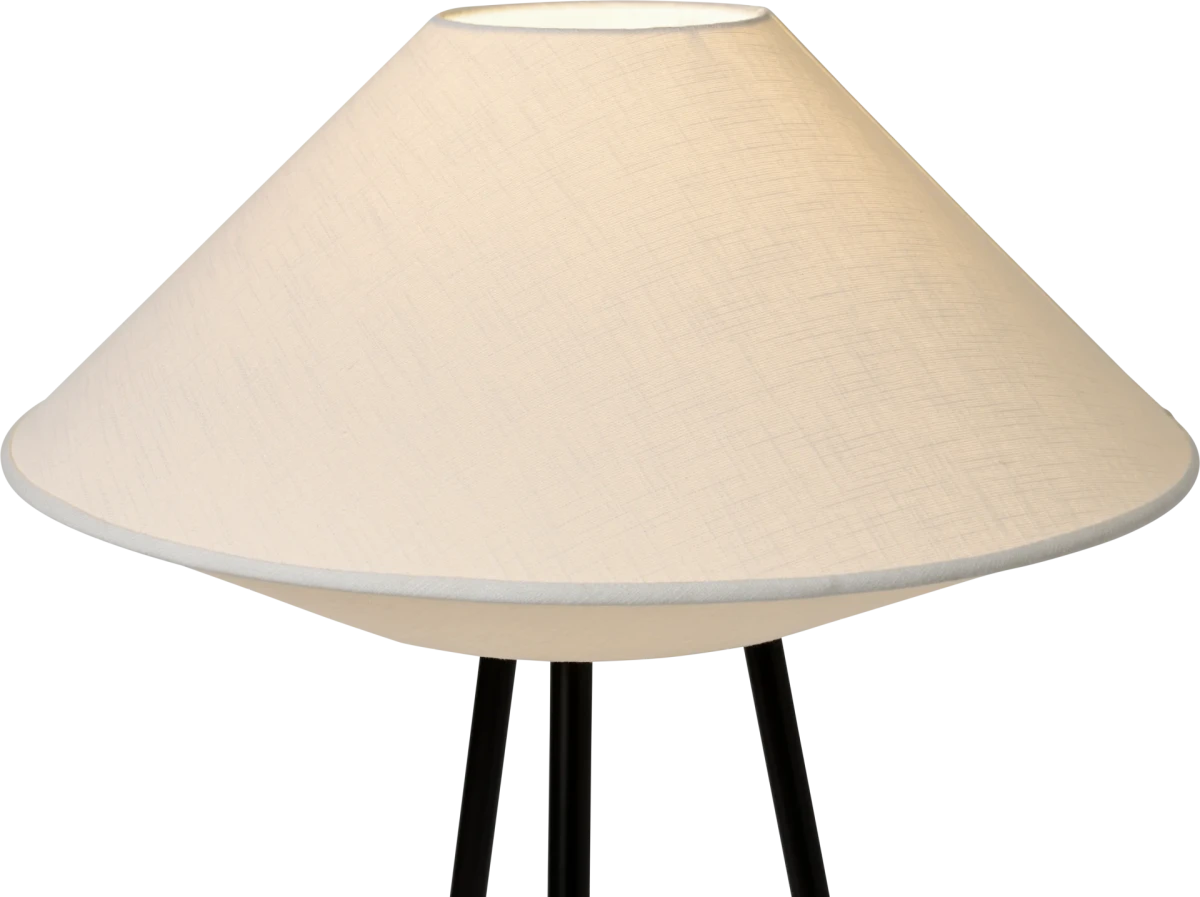Kaku grīdas lampa