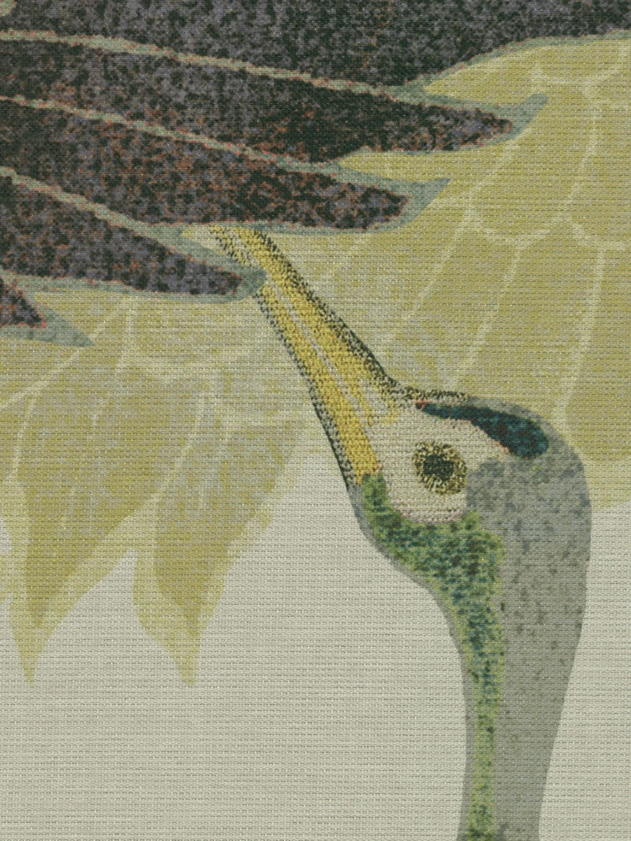 VOLARE