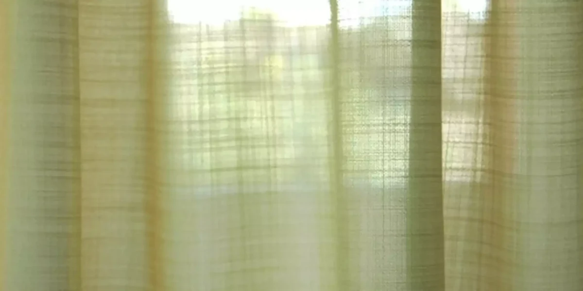 SCHERZO V