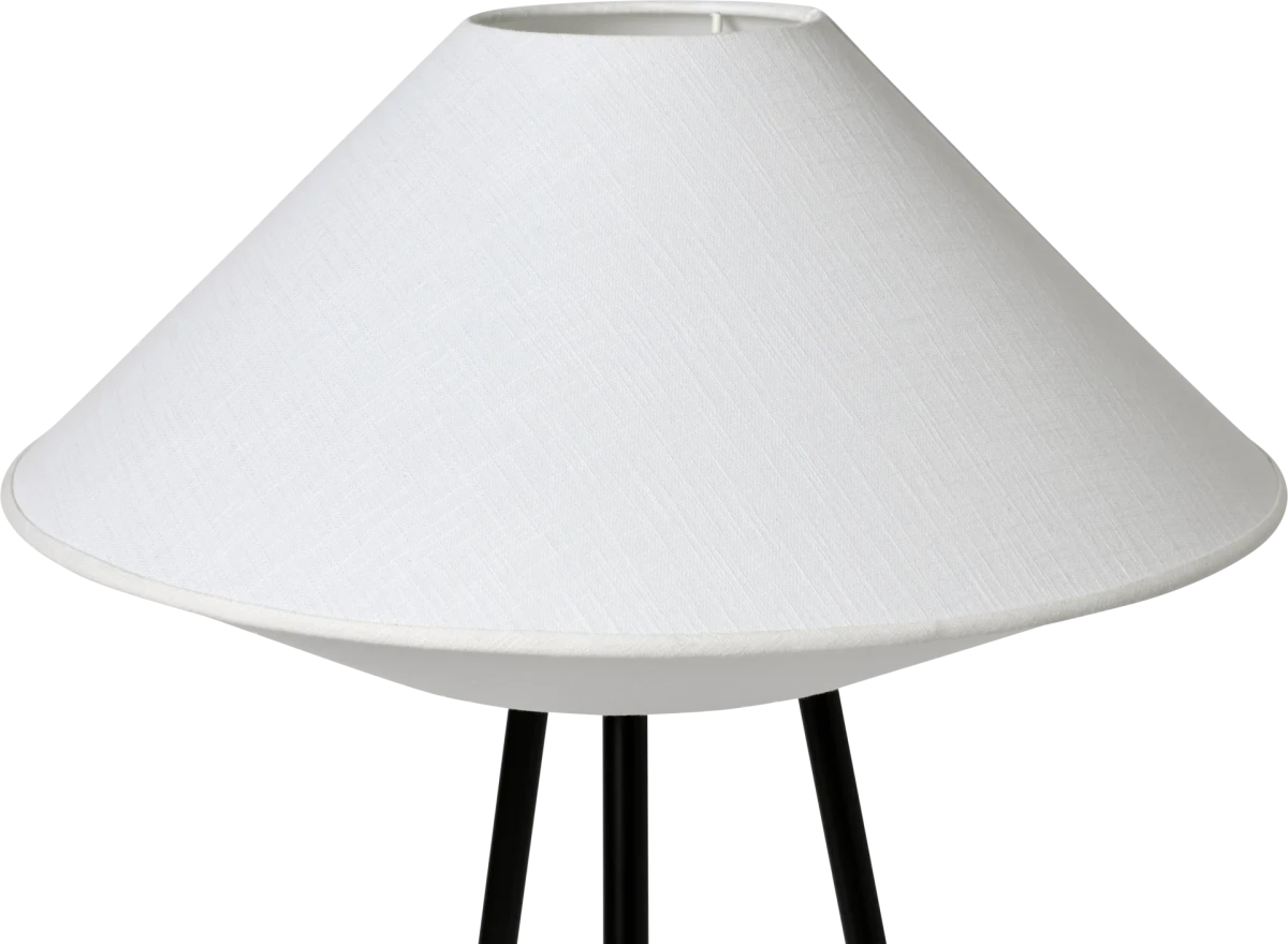 Kaku grīdas lampa