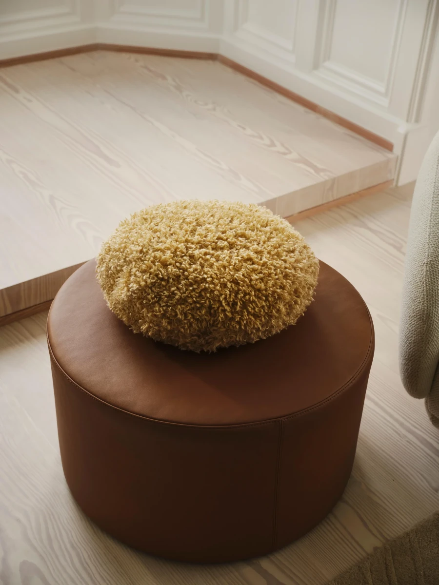 Teddy cushion
