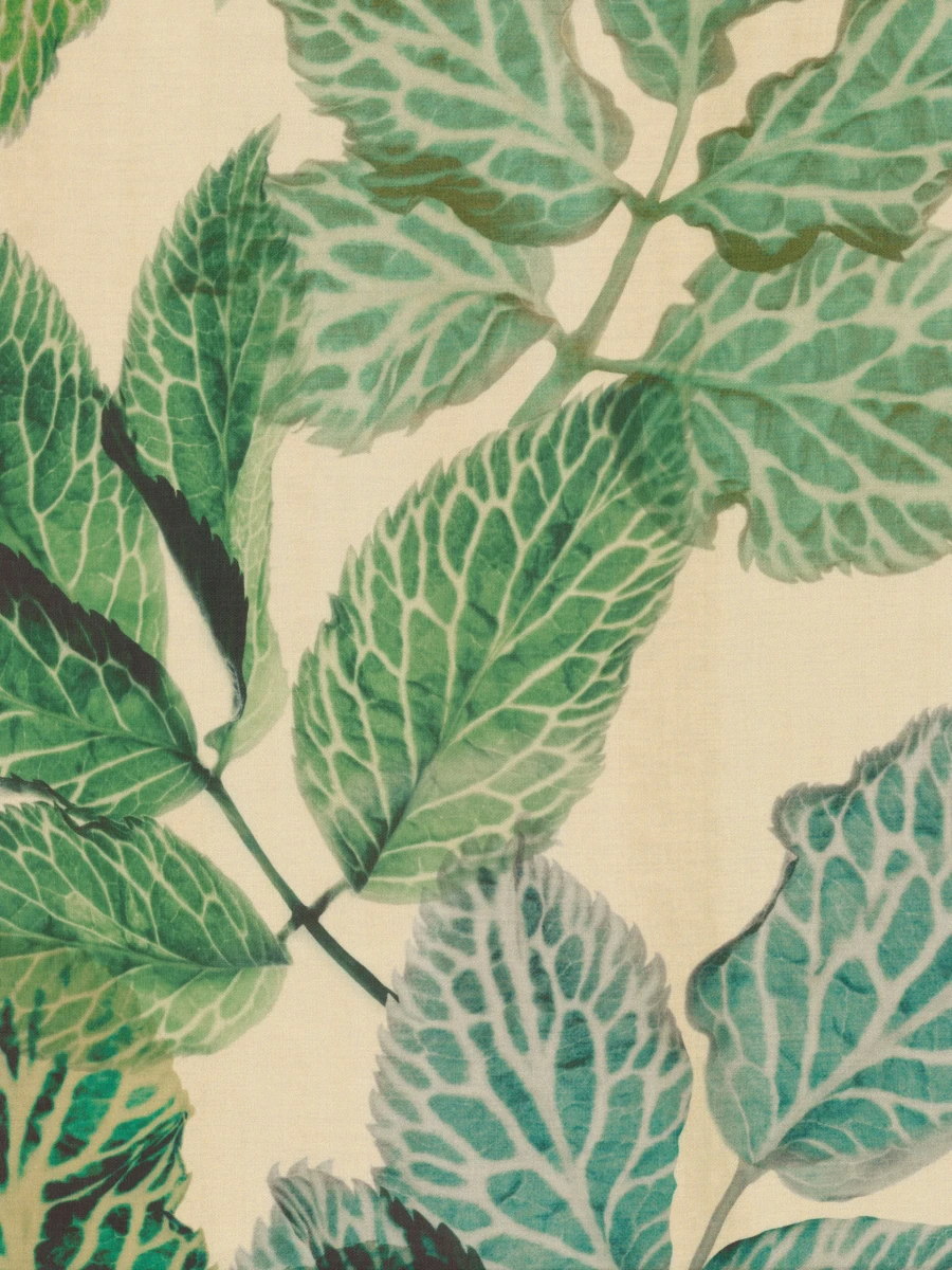 HERBA