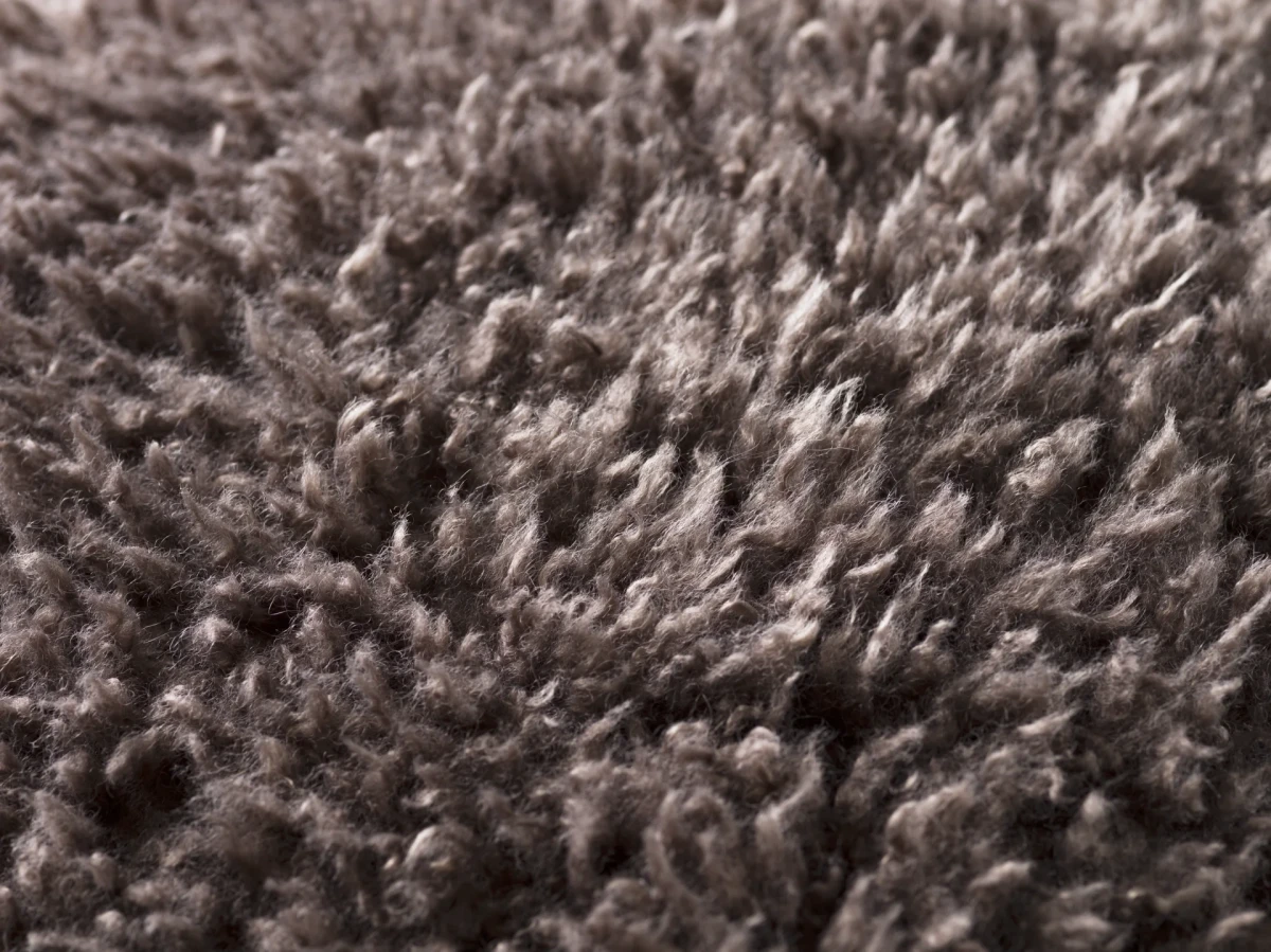 Teddy spilvens