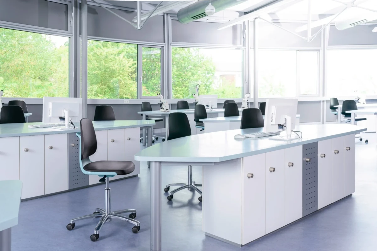 Labsit