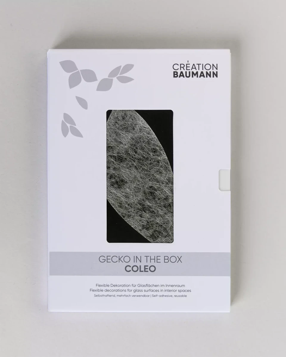 GECKO IN THE BOX – COLEO