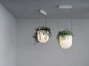 Jungle griestu lampa