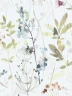 BOTANICAL-T