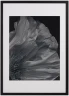 Flora 3 Photo Art
