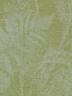 FIR
