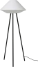 Kaku grīdas lampa