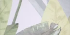 FANA