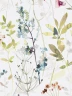 BOTANICAL-U